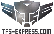tfs-express